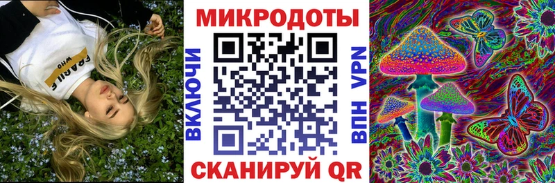 купить   Закаменск  Галлюциногенные грибы Magic Shrooms 